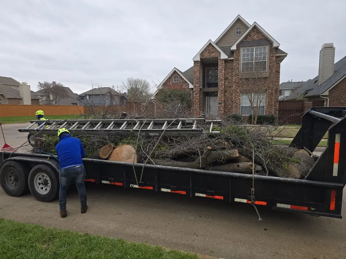 Expert Crown Reduction with proper safety equipment in Port Gamble